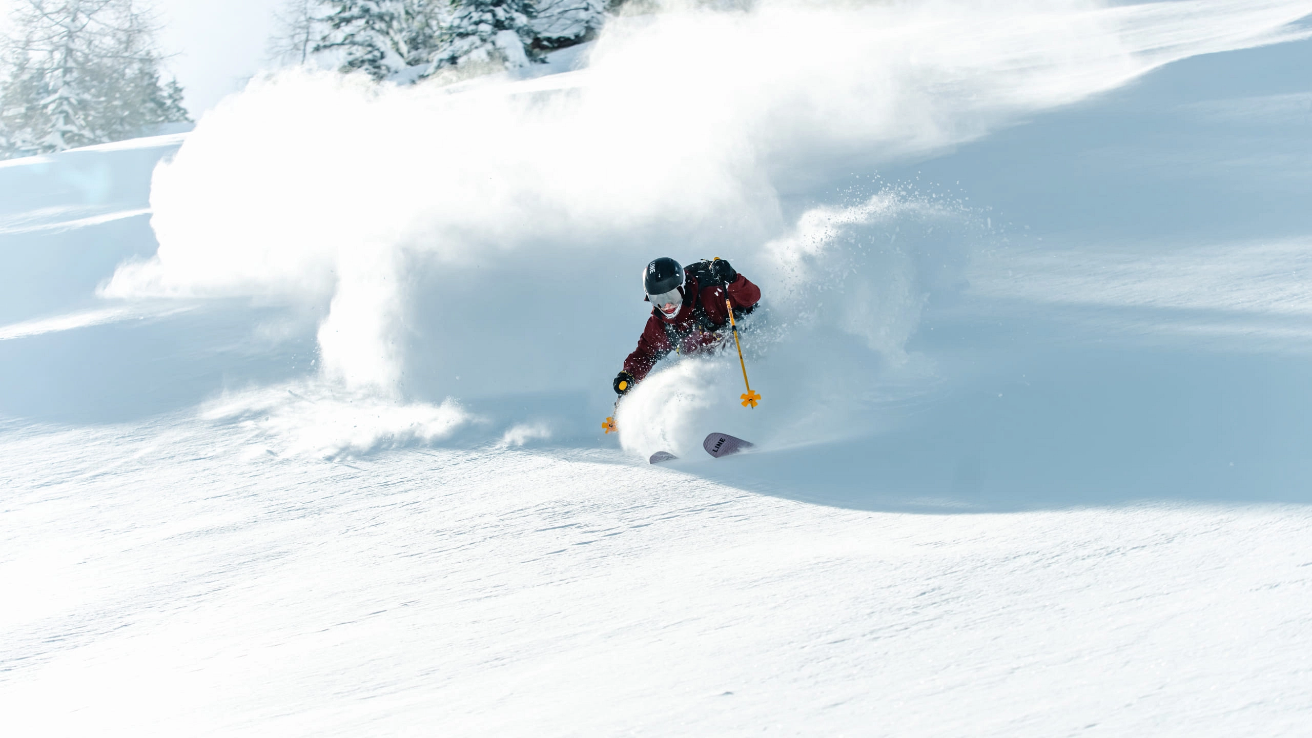 Skifahrer zieht durch frischen Schnee mit Spritzern und Bäume im Hintergrund